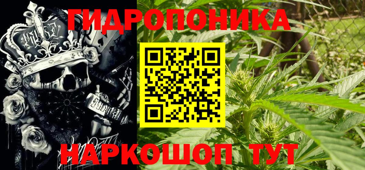 Бошки Шишки планчик Радужный
